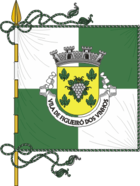 Flagge von Figueiró dos Vinhos