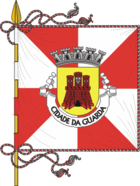 Flagge von Guarda (Portugal)