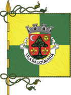 Flagge von Lourinhã