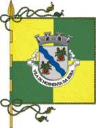 Flagge von Moimenta da Beira