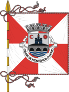 Flagge von Montemor-o-Novo