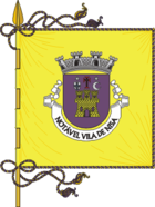 Flagge von Nisa