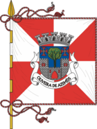 Flagge von Oliveira de Azeméis