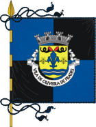 Flagge von Oliveira de Frades