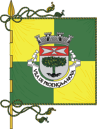 Flagge von Proença-a-Nova