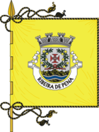 Flagge von Ribeira de Pena