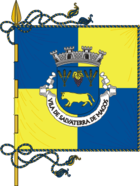 Flagge von Salvaterra de Magos