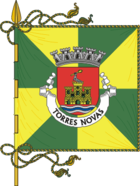 Flagge von Torres Novas (Portugal)