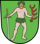 Wappen der Stadt Bad Muskau
