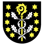 Wappen der Gemeinde Wiernsheim