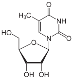 Strukturformel von Ribothymidin