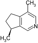 Struktur von Actinidin