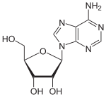 Adenosin