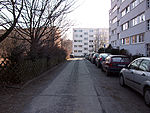 Elfriedestraße