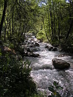 Ambro-creek.jpg