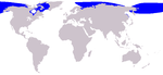 Cetacea range map Beluga.png