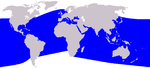 Cetacea range map Bottlenose Dolphin.png