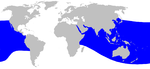 Cetacea range map Ginkgo-toothed Beaked Whale.png