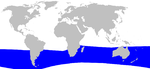 Cetacea range map Hectors Beaked Whale.png