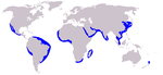Cetacea range map Long-beaked Common Dolphin.PNG