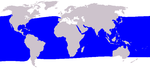 Cetacea range map Short-finned Pilot Whale.png
