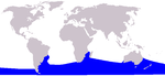 Cetacea range map Southern Right Whale.png