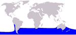 Cetacea range map Southern Right Whale Dolphin.PNG