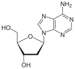 Strukturformel Desoxyadenosin