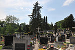 Friedhof mit sog. Guiliani-Kreuz