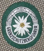 Tätigkeitsabzeichen des Grenzschutzbergführers