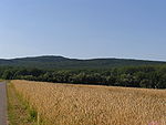 Gickelsburg (471 m, hinten) und Hesselberg (461 m, vorne) vom Bottigtal von Friedrichsdorf aus gesehen