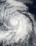 Hurricane fausto 2002 August 24.jpg