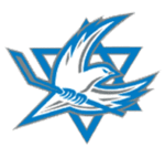 Logo der Israelischen Eishockeynationalmannschaft
