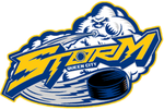 Logo der Queen City Storm