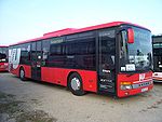 Setra Bus Mannheim 100 8519.jpg