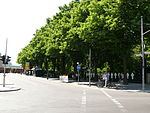 Ebertstraße in Tiergarten