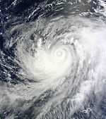 Typhoon Muifa Aug 1 2011 0150Z.jpg