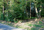 Hügelgräber Michlgleinz, Mönichgleinz, St. Andrä im Sausal