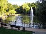 Großer Teich im Volkspark