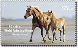 DPAG 2007 2631 Haflinger Pferde.jpg