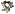 Logo Pittsburgh Penguins.svg
