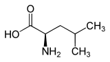 D-Leucine.svg