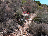 Gamkaberg Nature Reserve, South Africa (1020287).jpg