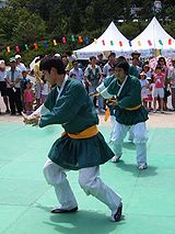 Korean martial art-Taekkyeon-01.jpg