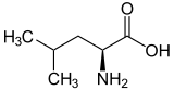 L-Leucin - L-Leucine.svg