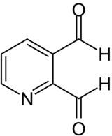 Strukturformel von Pyridin-2,3-dialdehyd