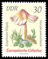 Stamps of Germany (DDR) 1974, MiNr 1938.jpg