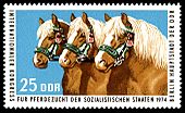 Stamps of Germany (DDR) 1974, MiNr 1971.jpg