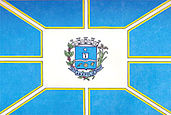 Flagge von Anápolis