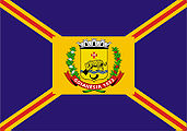 Flagge von Goianésia